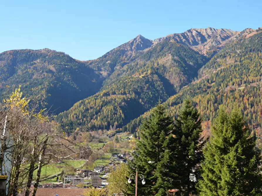 Immagine 19 di Terreno in vendita  in Via dal Munt a Bocenago