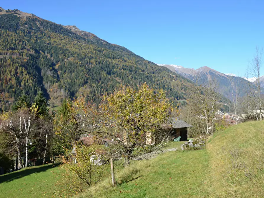 Immagine 21 di Terreno in vendita  in Via dal Munt a Bocenago