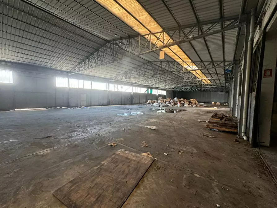 Immagine 5 di Capannone industriale in vendita  in Via Cavaleggeri di Saluzzo a Spilimbergo