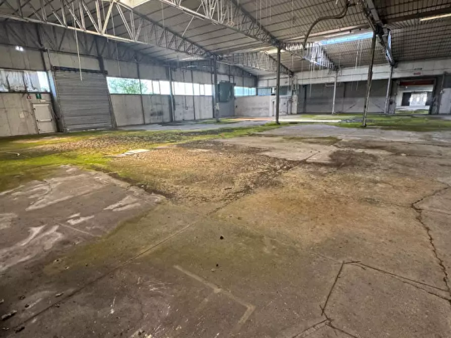 Immagine 7 di Capannone industriale in vendita  in Via Cavaleggeri di Saluzzo a Spilimbergo