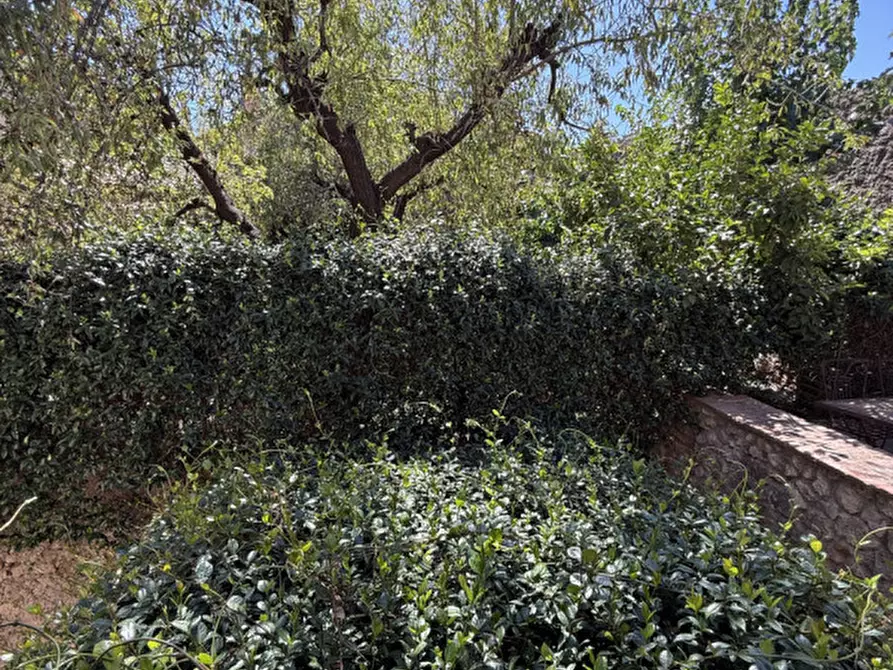 Immagine 18 di Appartamento in vendita  in Via Curtatone a Capalbio