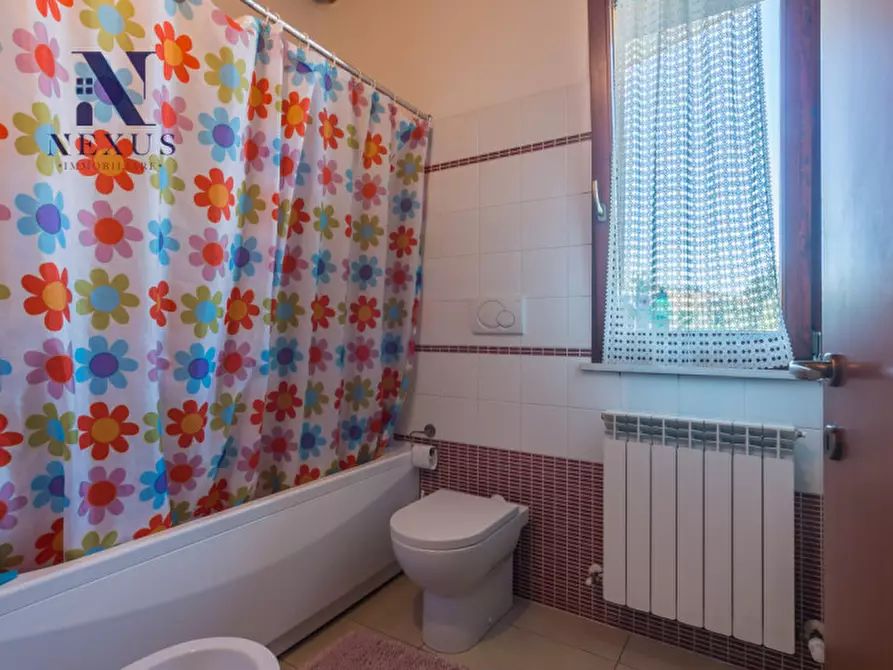 Immagine 20 di Appartamento in vendita  a Monte Porzio