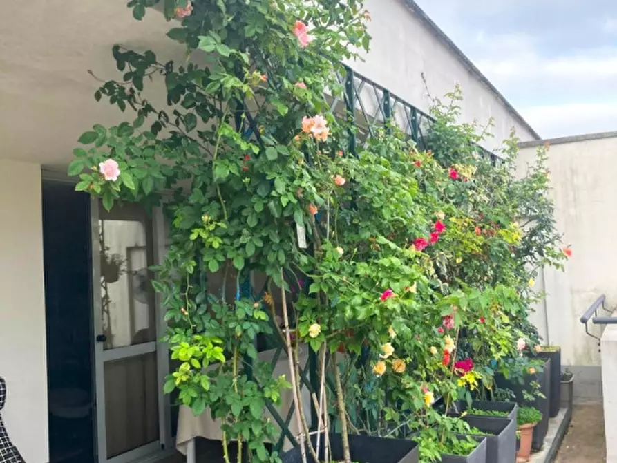 Immagine 25 di Appartamento in vendita  in Via dei Bersaglieri a Montevarchi