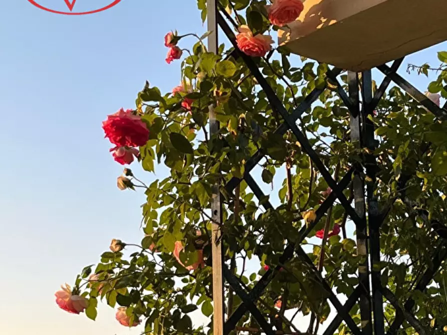 Immagine 26 di Appartamento in vendita  in Via dei Bersaglieri a Montevarchi