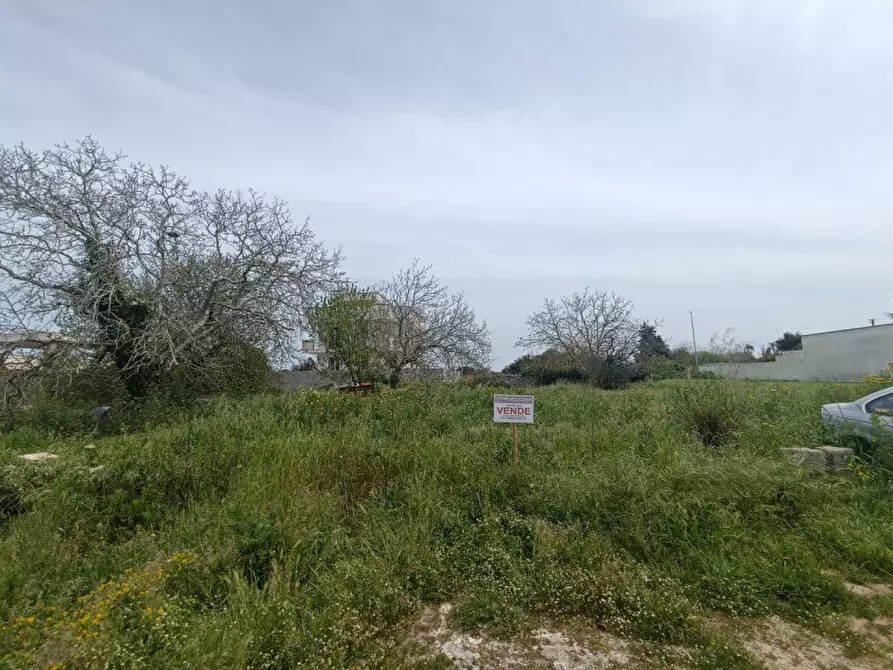 Immagine 2 di Terreno in vendita  in Via Benedetto Croce a Melpignano
