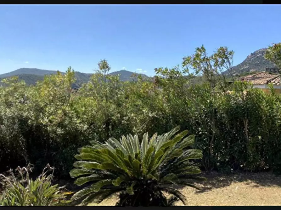 Immagine 4 di Casa indipendente in vendita  in Viale is pirastus 42 a Domus De Maria