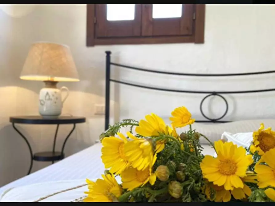 Immagine 9 di Casa indipendente in vendita  in Viale is pirastus 42 a Domus De Maria