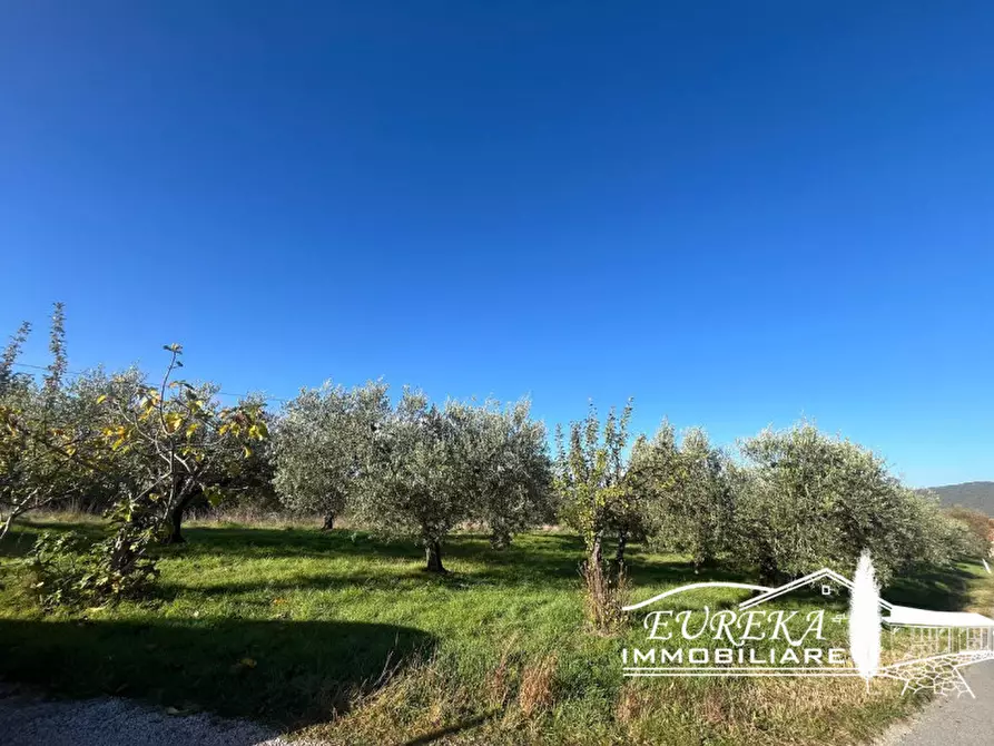 Immagine 5 di Casa indipendente in vendita  in ponibbiale a Piegaro