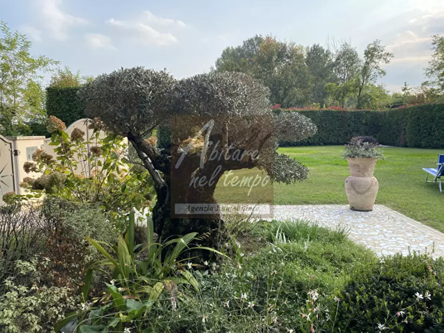 Immagine 4 di Villa in vendita  in Via Molino a Fontaniva