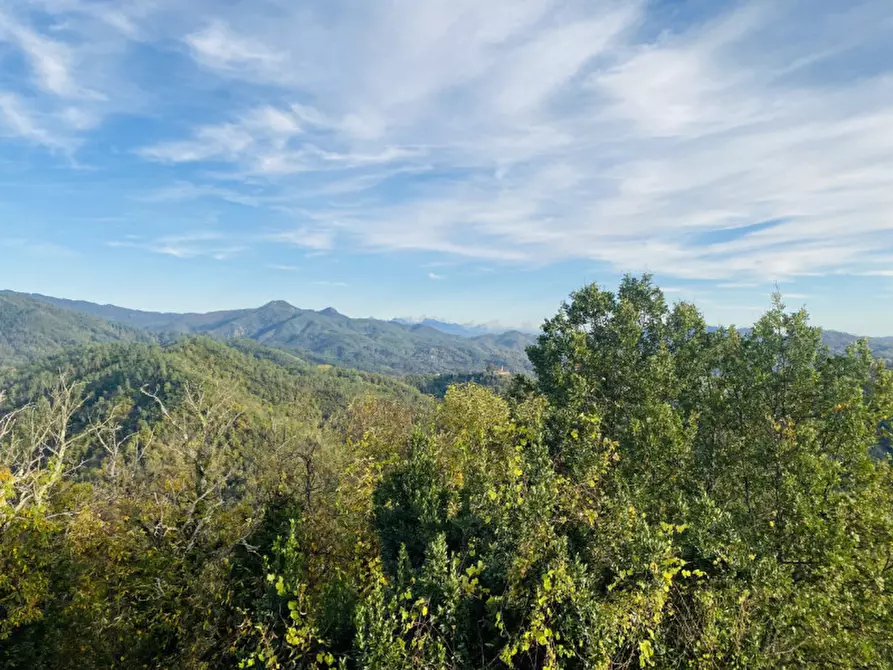 Immagine 6 di Villetta a schiera in vendita  in Via Giù di Fora a Sesta Godano