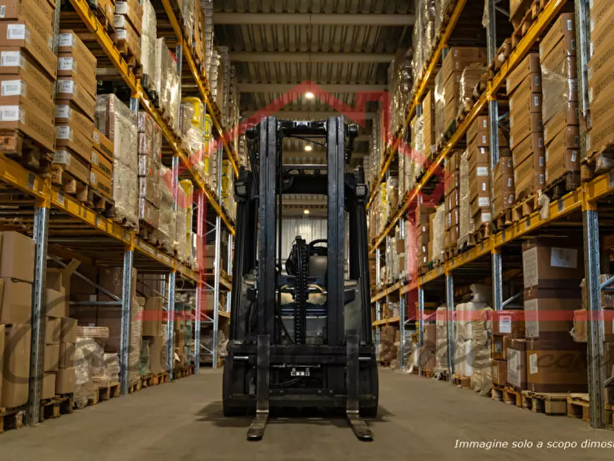 Immagine 6 di Capannone industriale in affitto  a Rossano Veneto