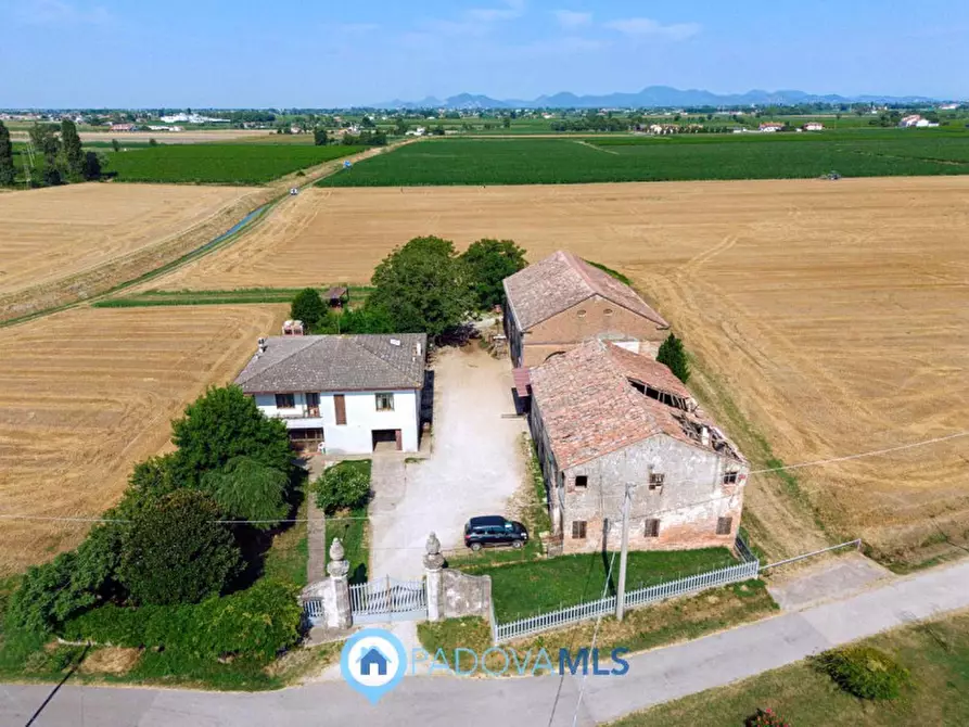 Immagine 2 di Casa indipendente in vendita  in Via Navegauro a Candiana