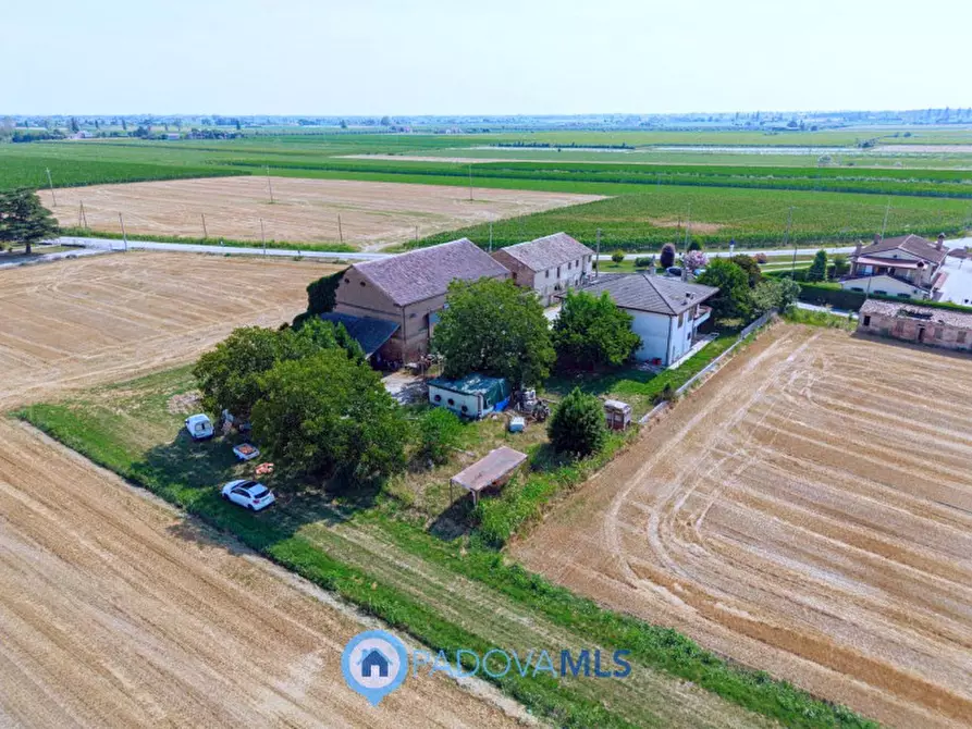 Immagine 3 di Casa indipendente in vendita  in Via Navegauro a Candiana