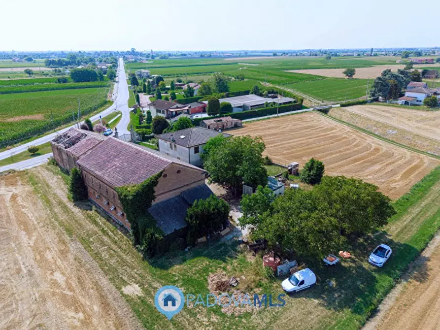 Immagine 4 di Casa indipendente in vendita  in Via Navegauro a Candiana