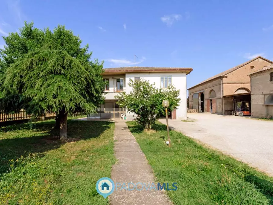 Immagine 6 di Casa indipendente in vendita  in Via Navegauro a Candiana