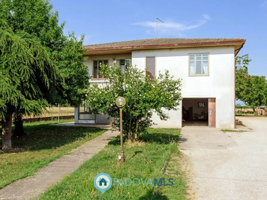 Immagine 7 di Casa indipendente in vendita  in Via Navegauro a Candiana