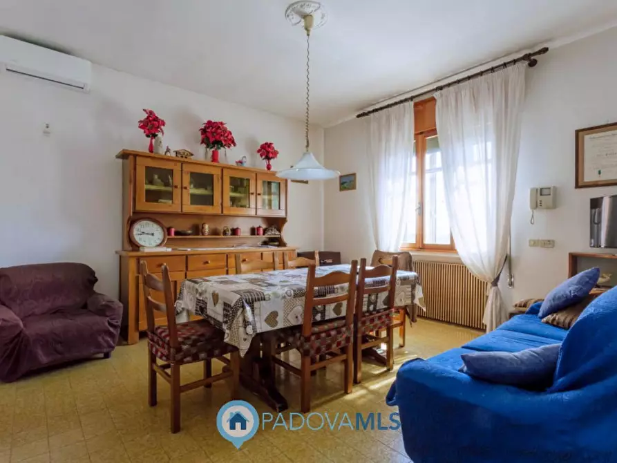Immagine 14 di Casa indipendente in vendita  in Via Navegauro a Candiana