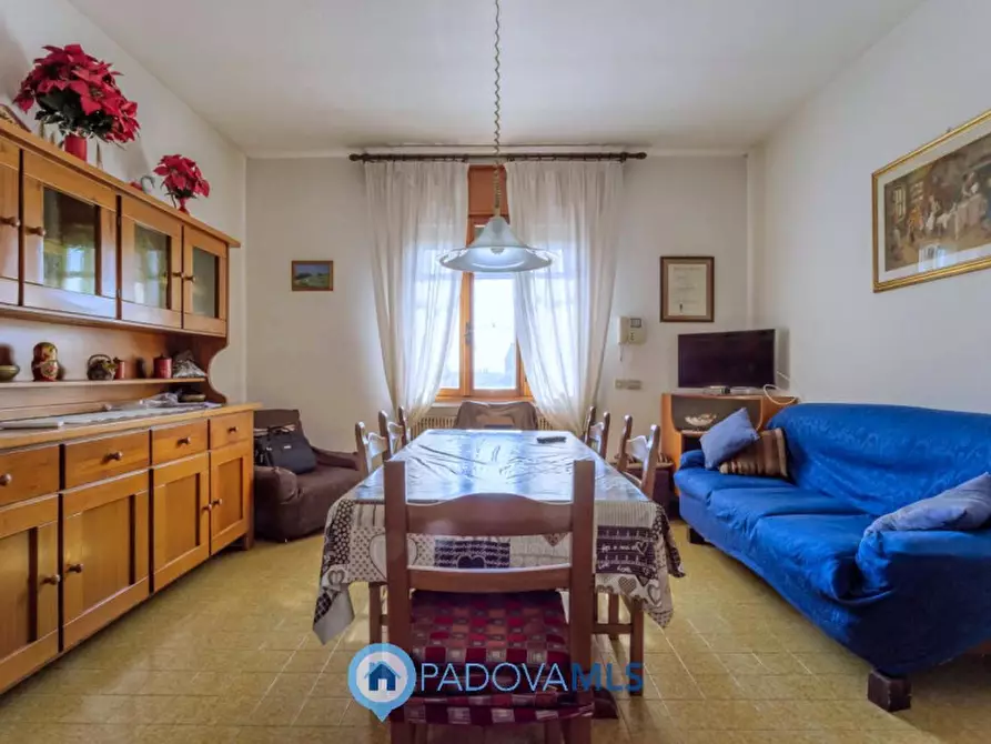 Immagine 15 di Casa indipendente in vendita  in Via Navegauro a Candiana