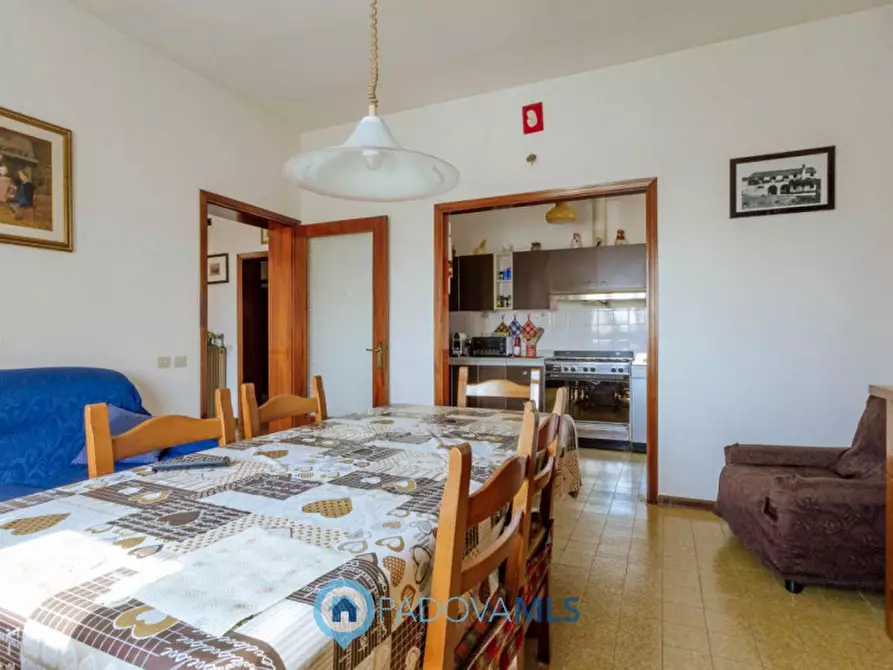 Immagine 16 di Casa indipendente in vendita  in Via Navegauro a Candiana