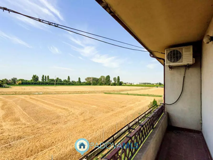Immagine 19 di Casa indipendente in vendita  in Via Navegauro a Candiana