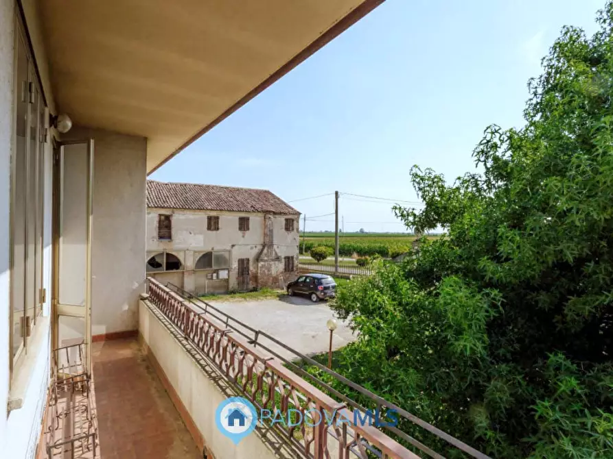 Immagine 21 di Casa indipendente in vendita  in Via Navegauro a Candiana