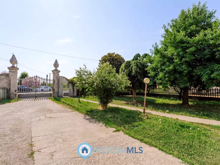 Immagine 33 di Casa indipendente in vendita  in Via Navegauro a Candiana