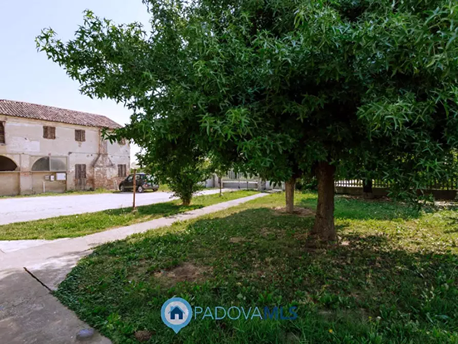 Immagine 34 di Casa indipendente in vendita  in Via Navegauro a Candiana