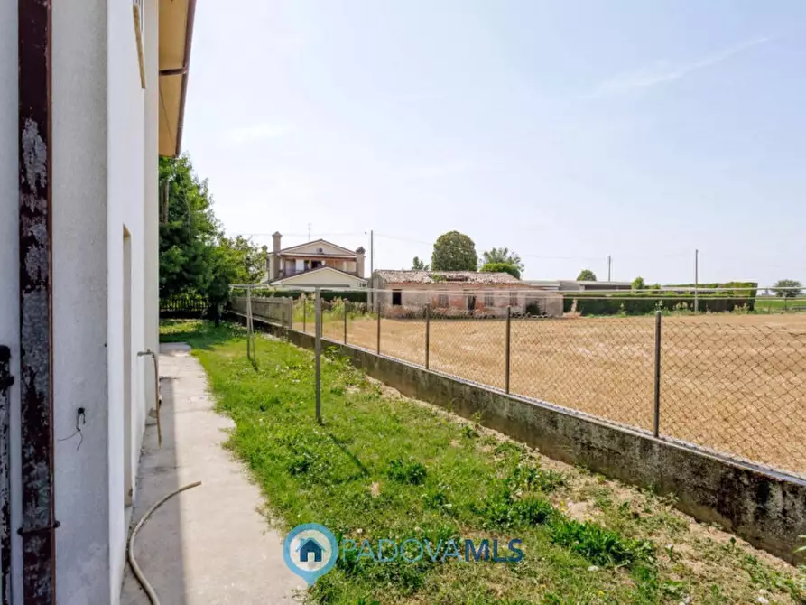 Immagine 35 di Casa indipendente in vendita  in Via Navegauro a Candiana