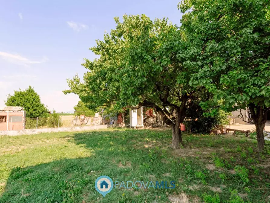 Immagine 36 di Casa indipendente in vendita  in Via Navegauro a Candiana