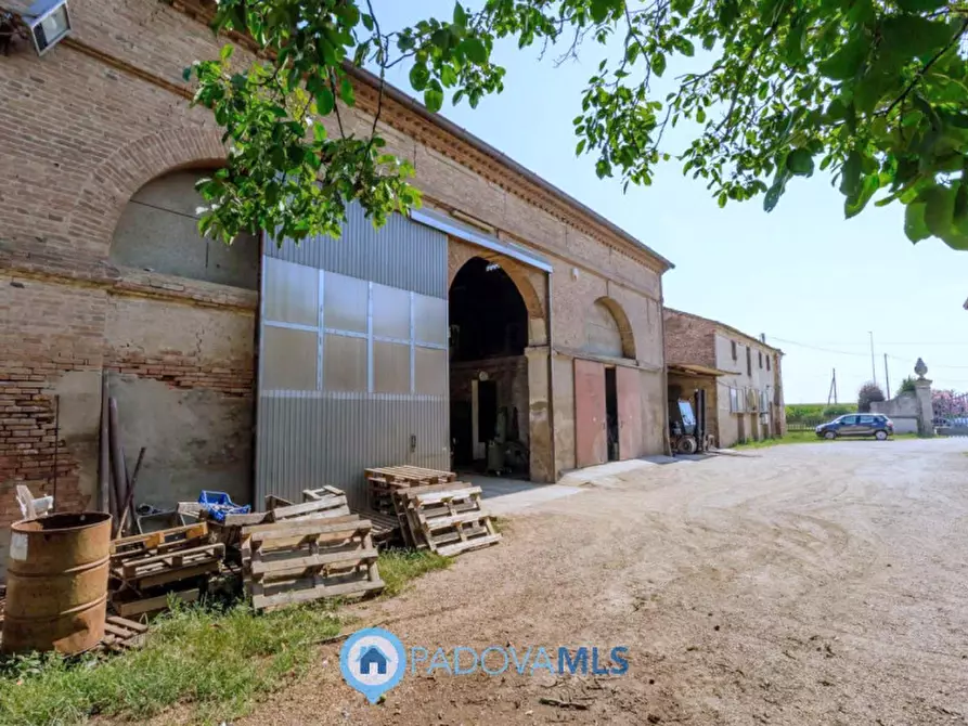 Immagine 37 di Casa indipendente in vendita  in Via Navegauro a Candiana
