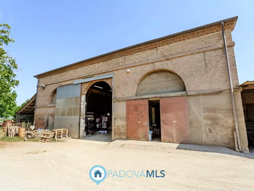 Immagine 38 di Casa indipendente in vendita  in Via Navegauro a Candiana