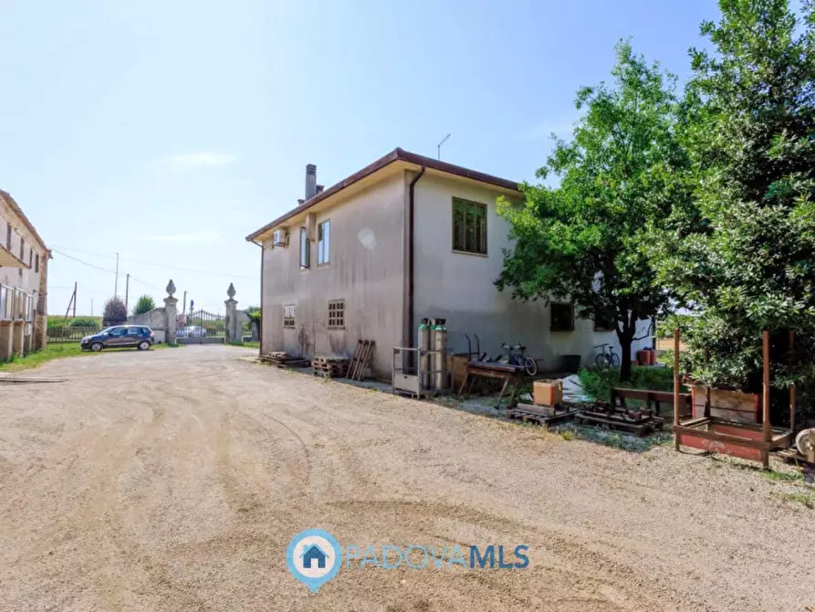 Immagine 40 di Casa indipendente in vendita  in Via Navegauro a Candiana