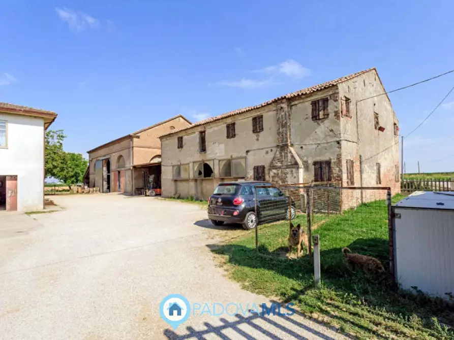 Immagine 41 di Casa indipendente in vendita  in Via Navegauro a Candiana