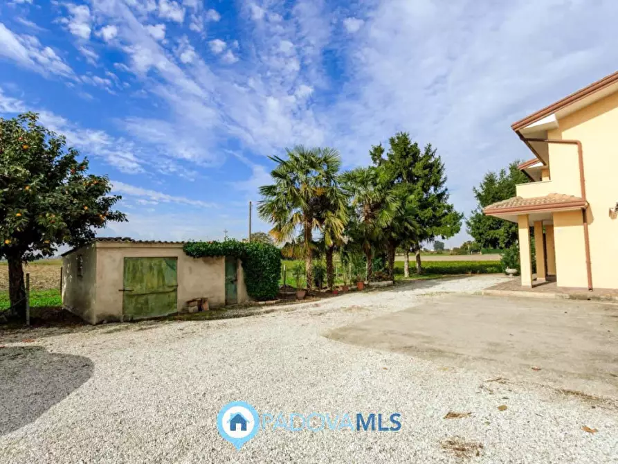 Immagine 7 di Casa indipendente in vendita  in Via Reniere a Agna