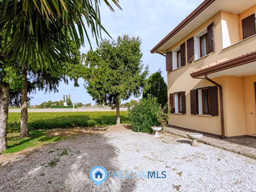 Immagine 9 di Casa indipendente in vendita  in Via Reniere a Agna