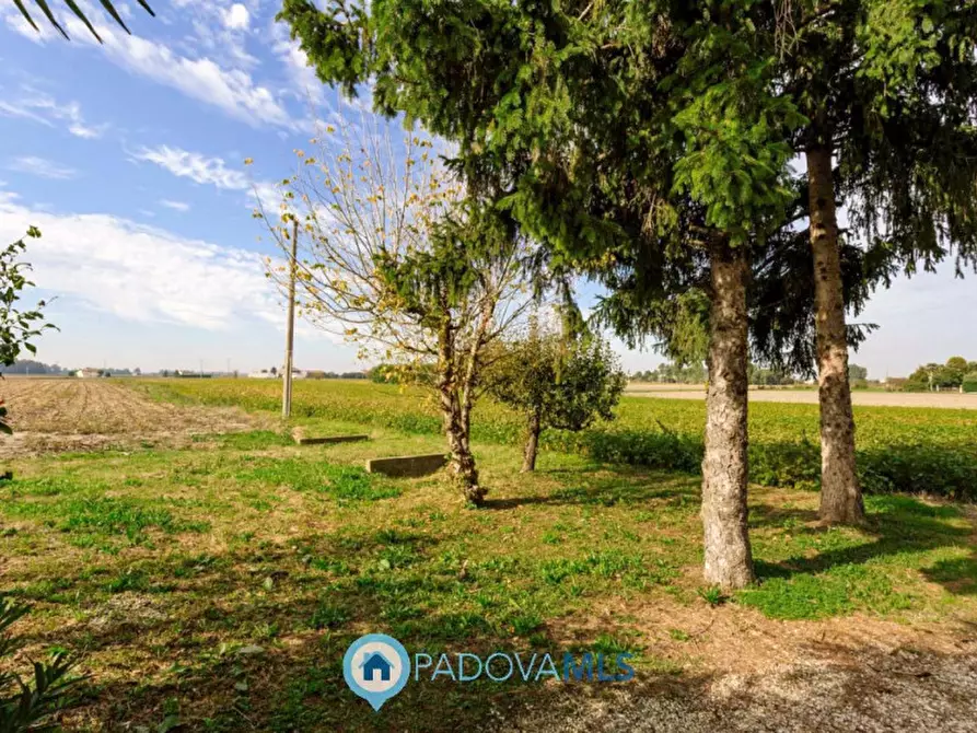 Immagine 10 di Casa indipendente in vendita  in Via Reniere a Agna