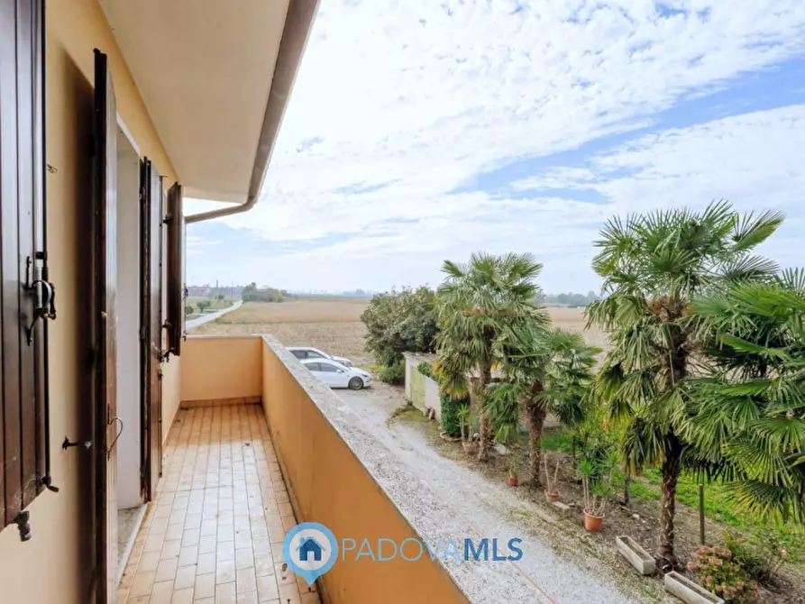 Immagine 34 di Casa indipendente in vendita  in Via Reniere a Agna