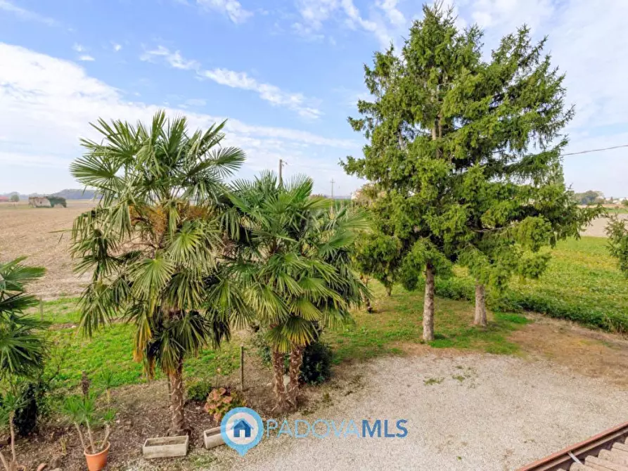 Immagine 36 di Casa indipendente in vendita  in Via Reniere a Agna