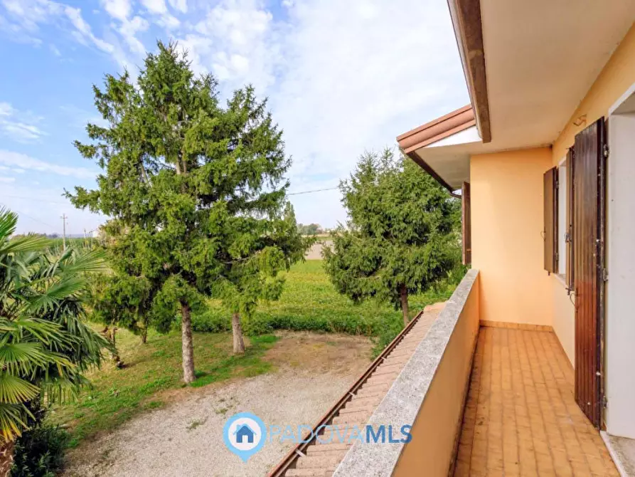 Immagine 37 di Casa indipendente in vendita  in Via Reniere a Agna