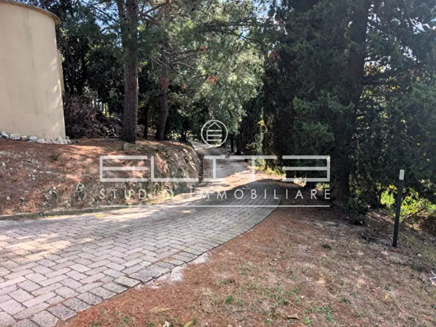 Immagine 2 di Casa bifamiliare in affitto  in Strada Frazione Poggio a Ancona