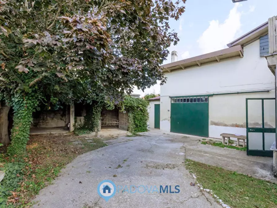 Immagine 6 di Casa indipendente in vendita  in Via Martiri Libertà a Agna