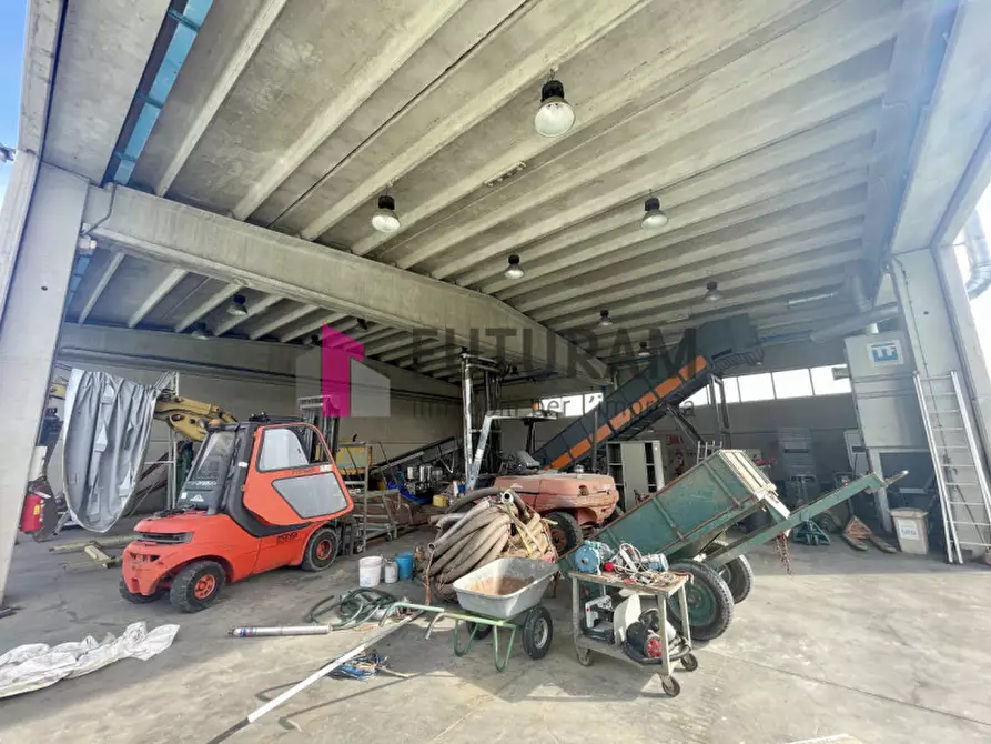 Immagine 2 di Capannone industriale in vendita  in via roma 1 a Campagna Lupia