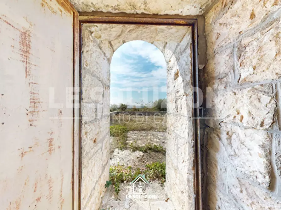 Immagine 6 di Rustico / casale in vendita  in contrada lombardi a Castellana Grotte