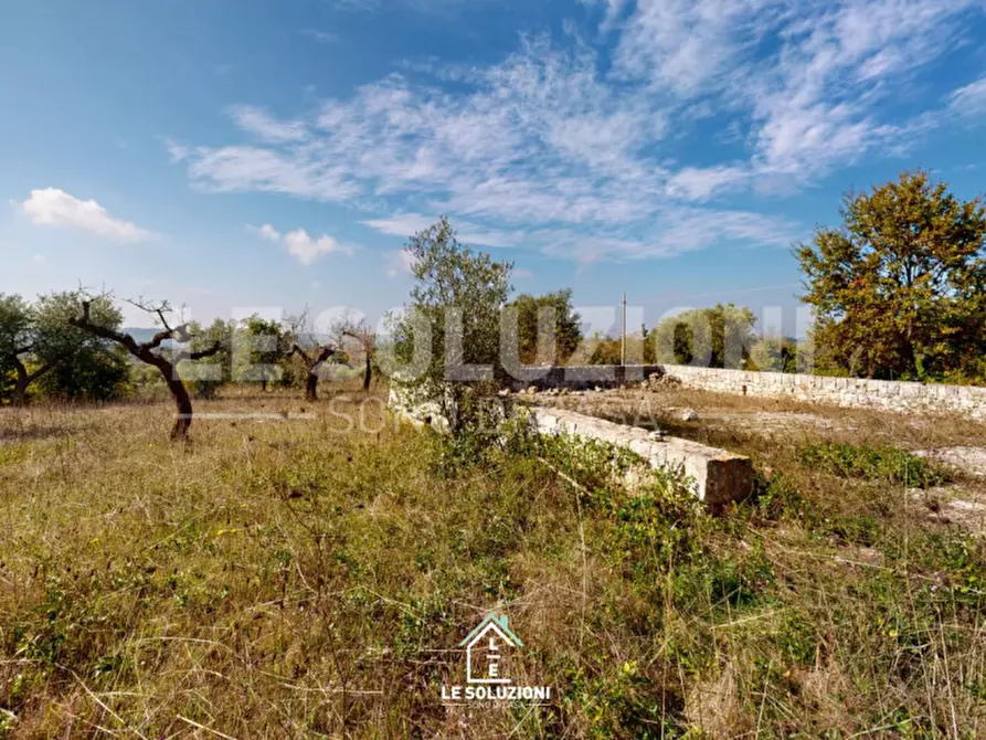 Immagine 13 di Rustico / casale in vendita  in contrada lombardi a Castellana Grotte