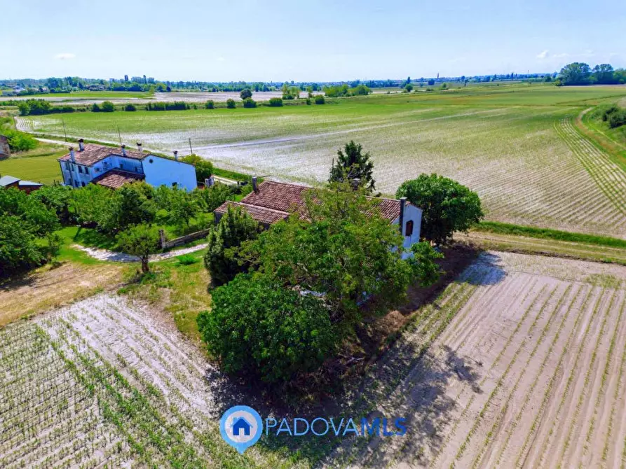 Immagine 7 di Rustico / casale in vendita  in Via Crocetta a Este