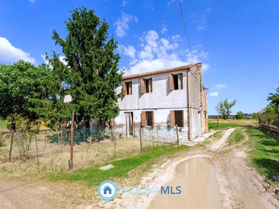 Immagine 22 di Rustico / casale in vendita  in Via Crocetta a Este