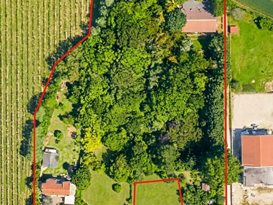 Immagine 4 di Terreno in vendita  in Via Sant'Antonino a Gorgo Al Monticano