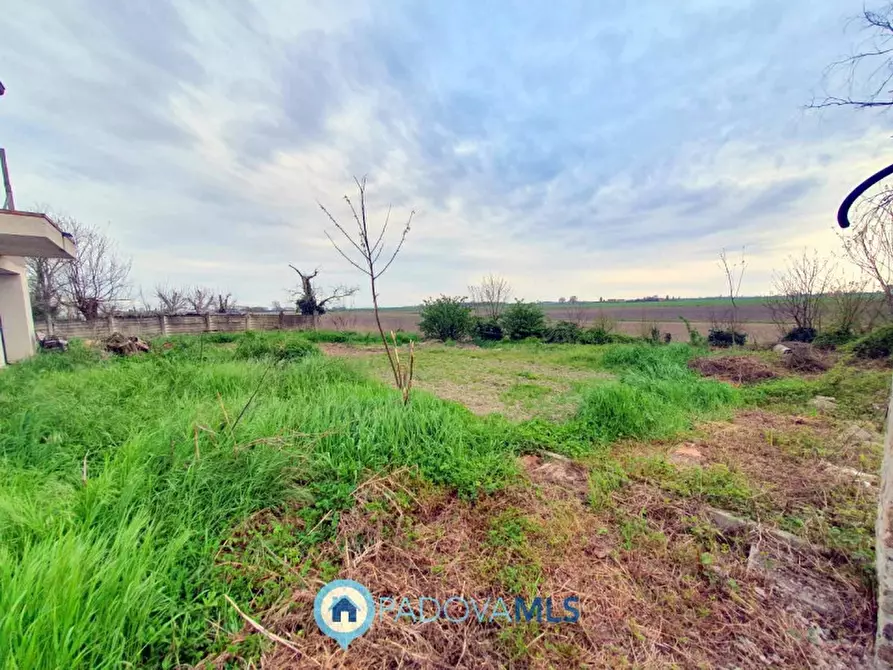 Immagine 7 di Casa bifamiliare in vendita  in Via Valchiesa a Pozzonovo