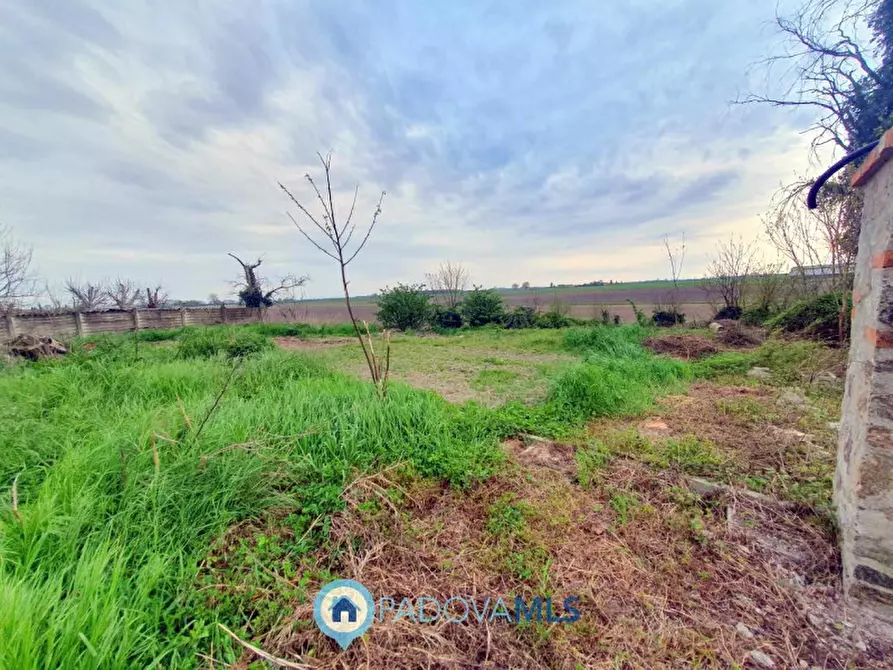 Immagine 8 di Casa bifamiliare in vendita  in Via Valchiesa a Pozzonovo