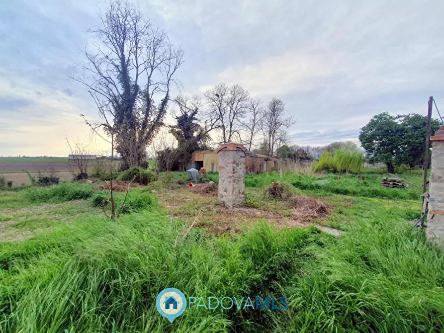 Immagine 9 di Casa bifamiliare in vendita  in Via Valchiesa a Pozzonovo